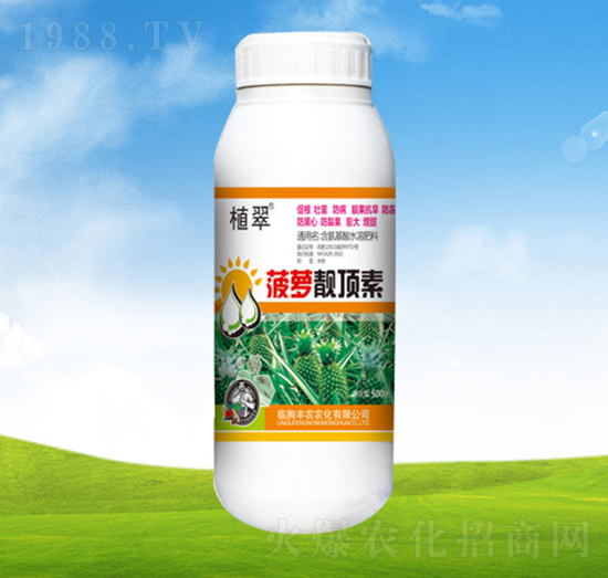 菠蘿靚頂素-植翠-豐農(nóng)農(nóng)化