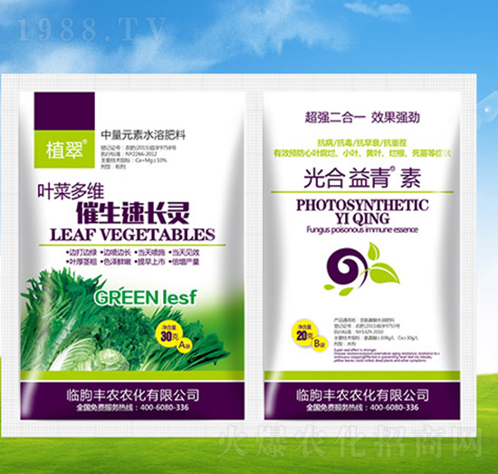 葉菜多維催生速長靈+光合益青素-植翠-豐農(nóng)農(nóng)化