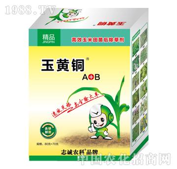 玉黃銅A+B高效玉米田苗后除草劑-志誠(chéng)生物