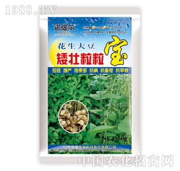 諾德-諾倍爾-花生大豆矮壯粒粒寶