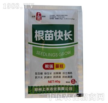 根苗快長-上禾-上禾農(nóng)化