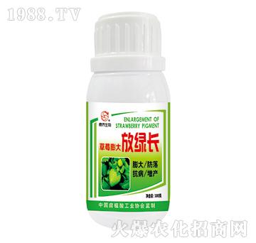 100g草莓膨大放綠長(zhǎng)-左氏肥業(yè)