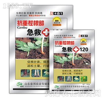 抗重茬根部急救120-泰邦