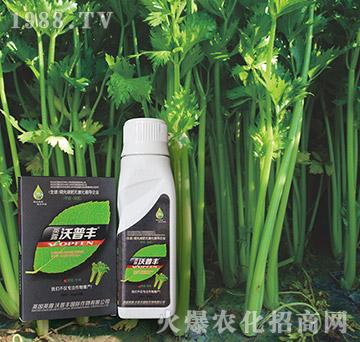 芹菜專用氨基松脂菌露母液葉面肥-沃普豐