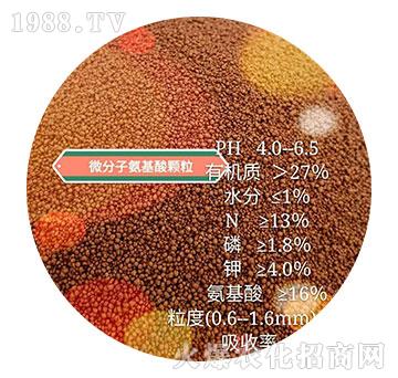 微分子氨基酸顆粒-綠爾