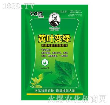 黃葉變綠（微量元素水溶性肥料）-沃爾特