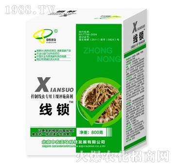 中農(nóng)天馬-線鎖-專用土壤沖施菌劑