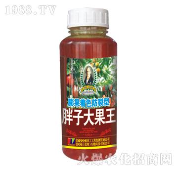 膨果著色防裂型胖子大果王-德化