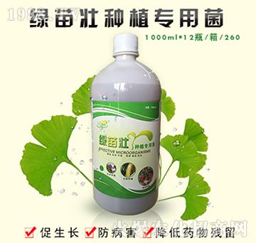 黃花菜專(zhuān)用EM菌液-綠苗壯-百益寶