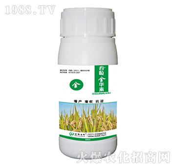 植物調(diào)節(jié)劑-谷粒金華素-農(nóng)聯(lián)生物