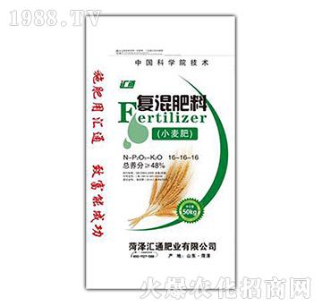 小麥肥復(fù)混肥料16-16-16-匯通肥業(yè)