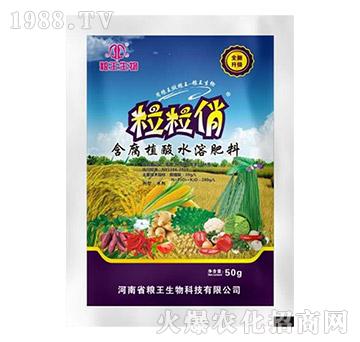 含腐植酸水溶肥料-粒粒俏-糧王生物