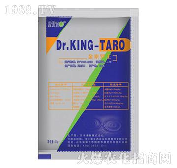 ձa(chn)ҺwDr. KING-TARO̩_-֮