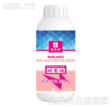 ø250ml-혷-