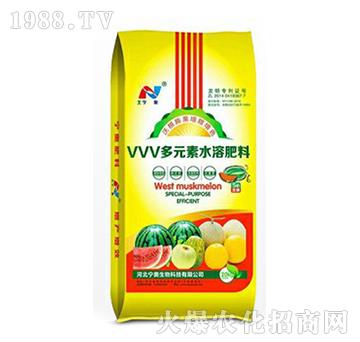 VVV多元素水溶肥料-寧奧生物