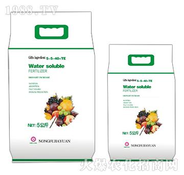 Water soluble FERTILIZER-5-5-40+TE-r(nng)ڈ@