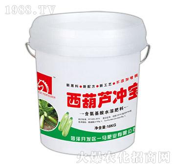 含氨基酸水溶肥料-西葫蘆沖寶-一馬肥業(yè)