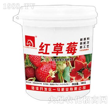 含氨基酸水溶肥料-紅草莓-一馬肥業(yè)