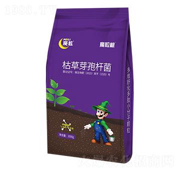 枯草芽孢桿菌-魔粒根-魔粒肥業(yè)