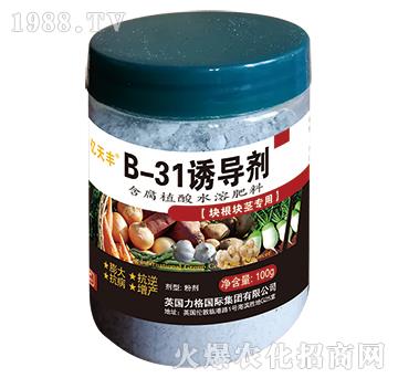 塊根塊莖專用-B-31誘導劑-億夭豐-力格國際