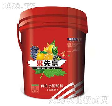 膨果型有機(jī)水溶肥料-果先贏-華豐生化