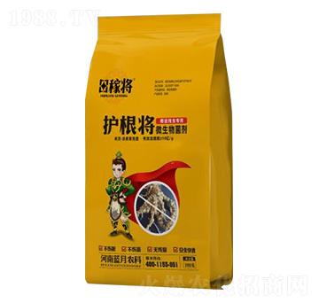 微生物菌劑-護(hù)根將-田稼將-藍(lán)月農(nóng)科