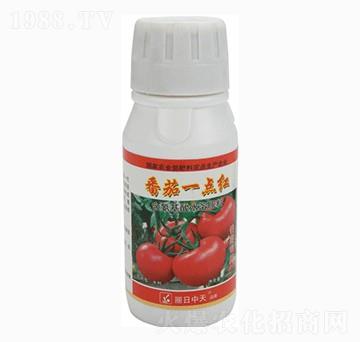 含氨基酸水溶肥料-番茄一點紅-中天肥業(yè)