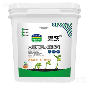 高氮型大量元素水溶肥料31-11-10+TE（桶）-碧躍-中科潤爾豐