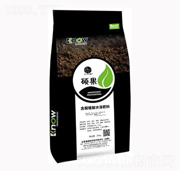 含腐植酸水溶肥料-碩果-恒沃源