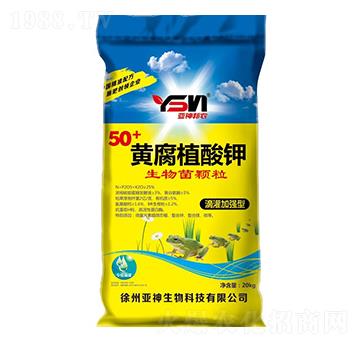 50+黃腐植酸鉀生物菌顆粒-亞神邦農(nóng)