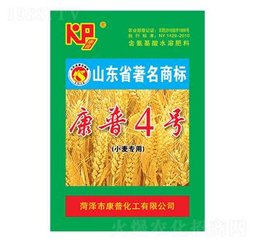 康普４號小麥專用肥-康普肥業(yè)