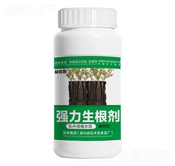 花卉綠植水培通用型強(qiáng)力生根劑-林保姆-碩林肥料