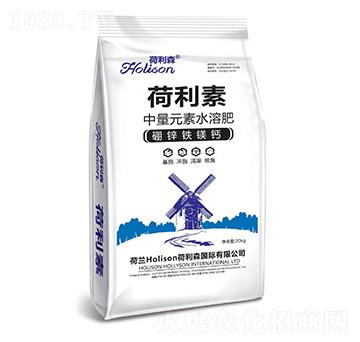 硼鋅鐵鎂鈣-荷利素-蜀忠聯(lián)