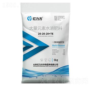 聚磷酸酐型大量元素水溶肥料20-20-20+TE-紅力方