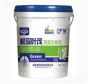 根深葉茂海藻功能肥-農(nóng)來樂-俄富特肥業(yè)