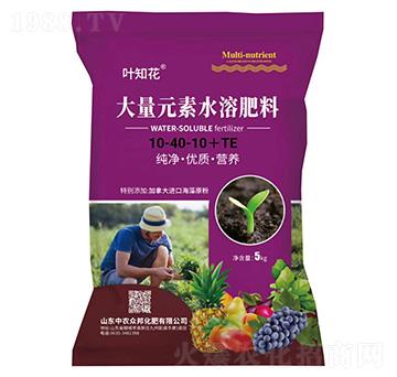 大量元素水溶肥料10-40-10+TE-葉知花-中農(nóng)眾邦